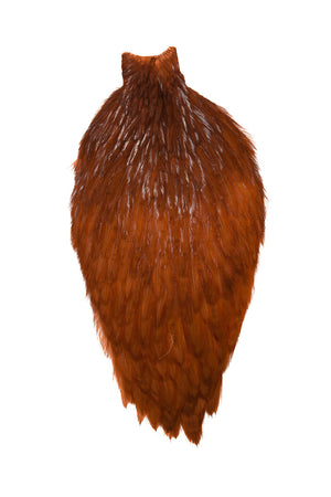 American Rooster Capes by Whiting Farms