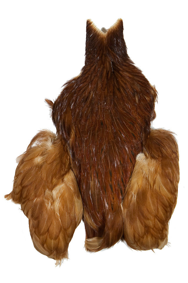 4B's Hen Cape - Brown by Whiting Farms