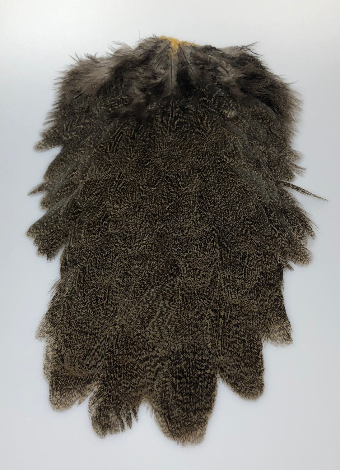 Coq de Leon Hen Saddle - Brown Speckled by Whiting Farms