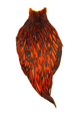 American Rooster Cape