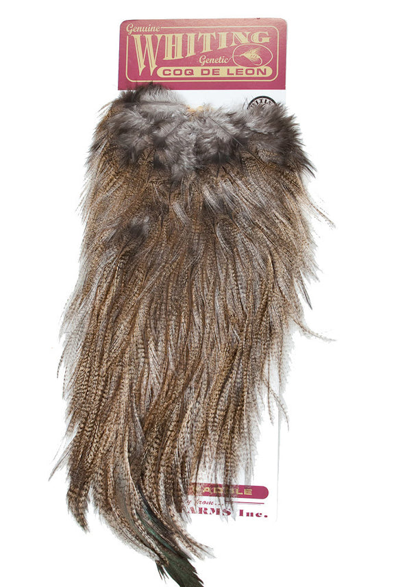 Coq De Leon Bronze Rooster Saddle by Whiting Farms - Wilkinson Fly