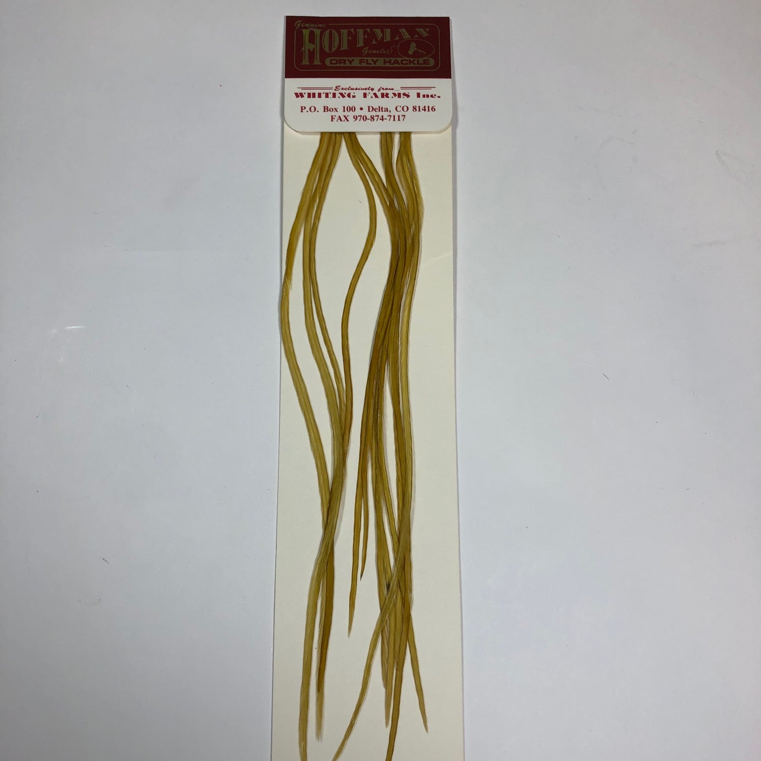 Hoffman Saddle Hackle Pack by Whiting Farms - Wilkinson Fly