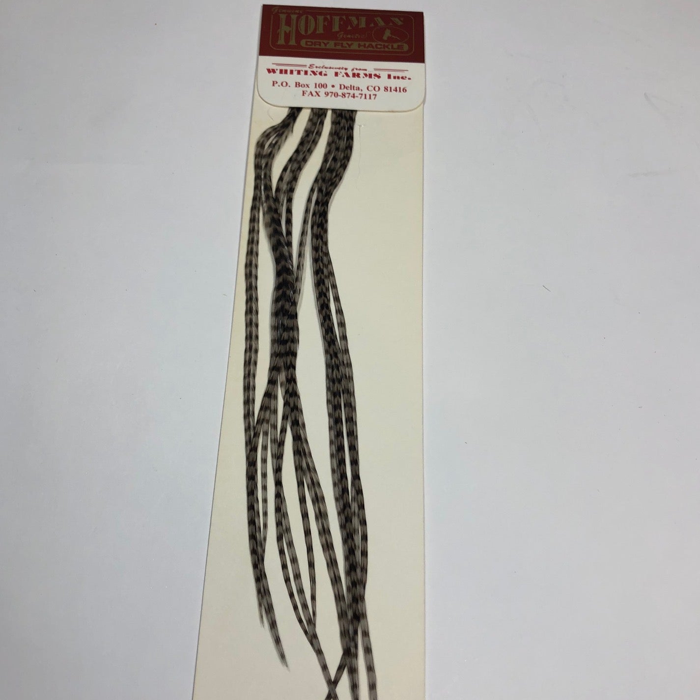 Hoffman Saddle Hackle Pack by Whiting Farms - Wilkinson Fly