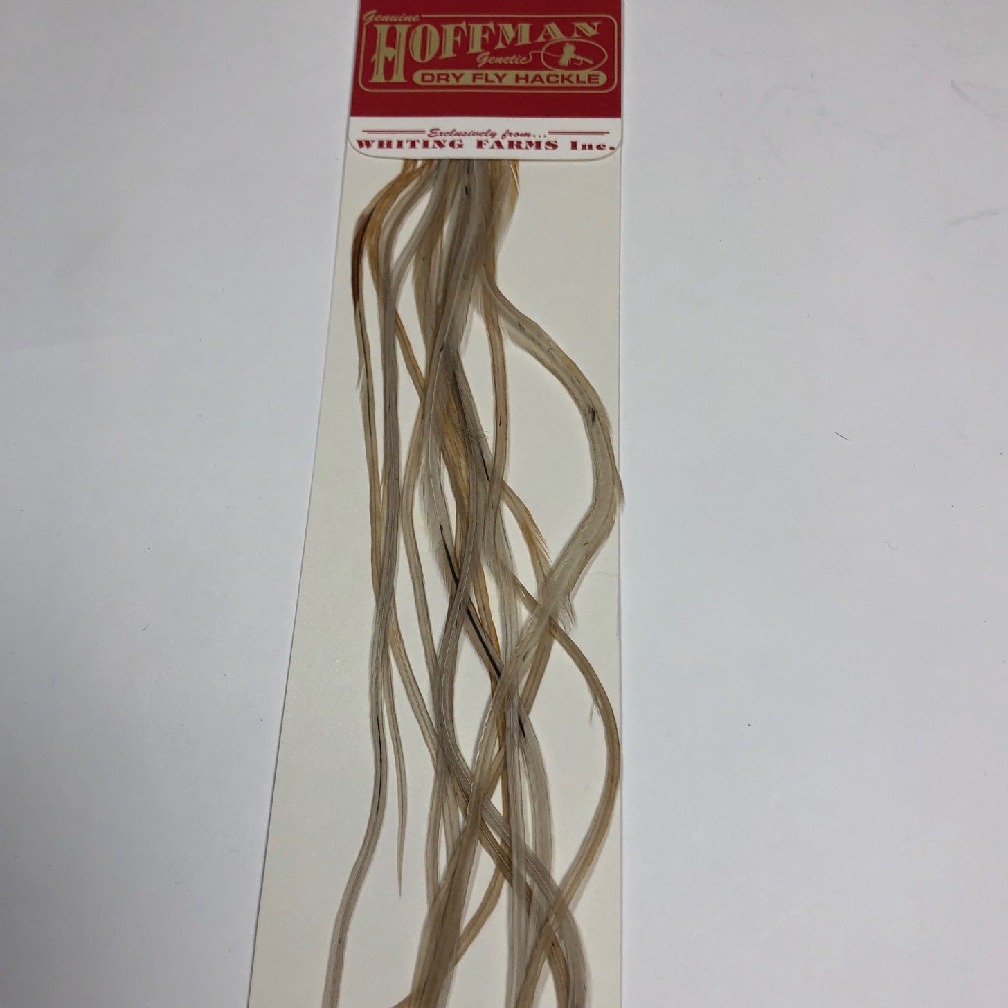Hoffman Saddle Hackle Pack by Whiting Farms - Wilkinson Fly