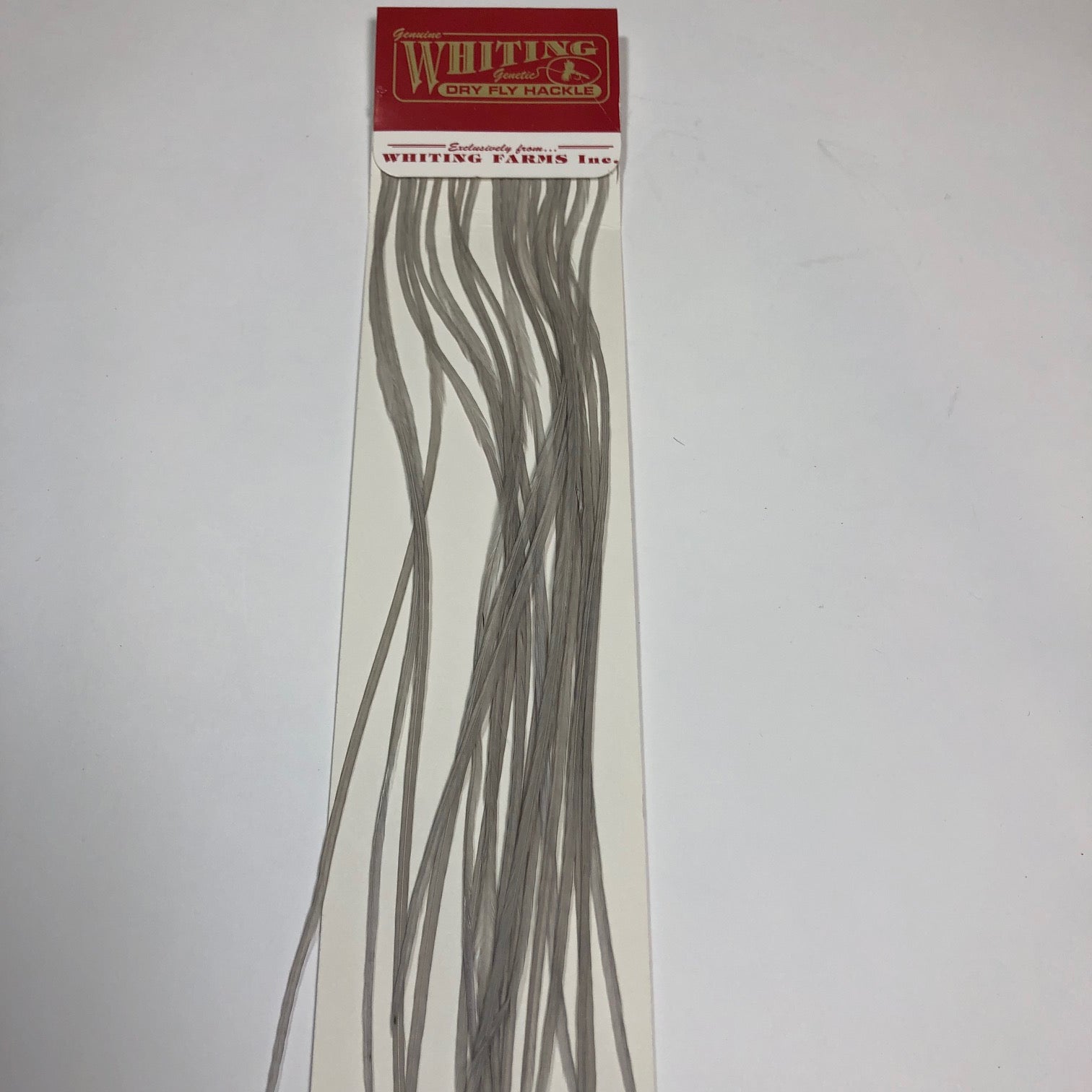 Whiting 100's  - Hook Assorted Size