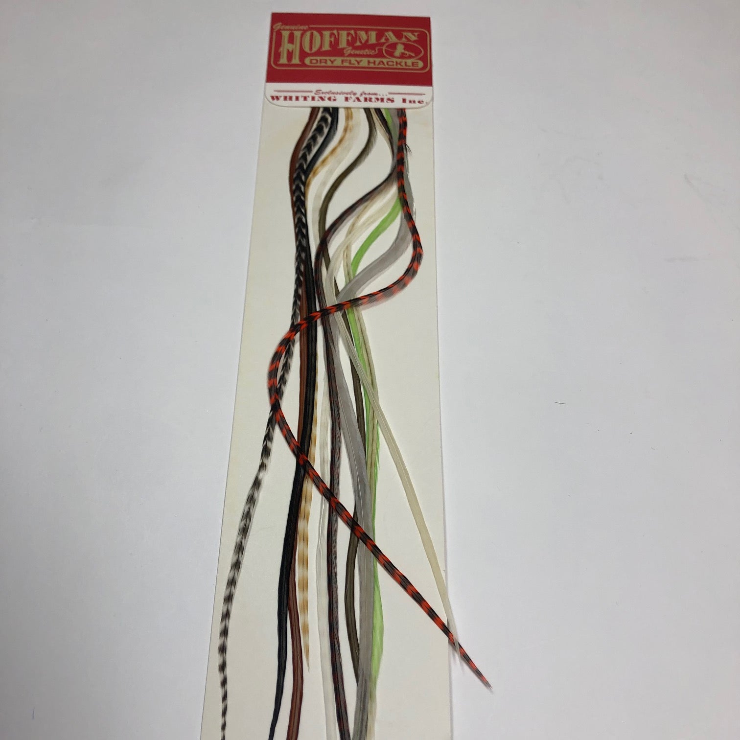 ルアー・フライ HOFFMAN #2 GOLDEN BADGER SADDLE Hoffman Saddle Hackle Pack by Whiting Farms - Wilkinson Fly