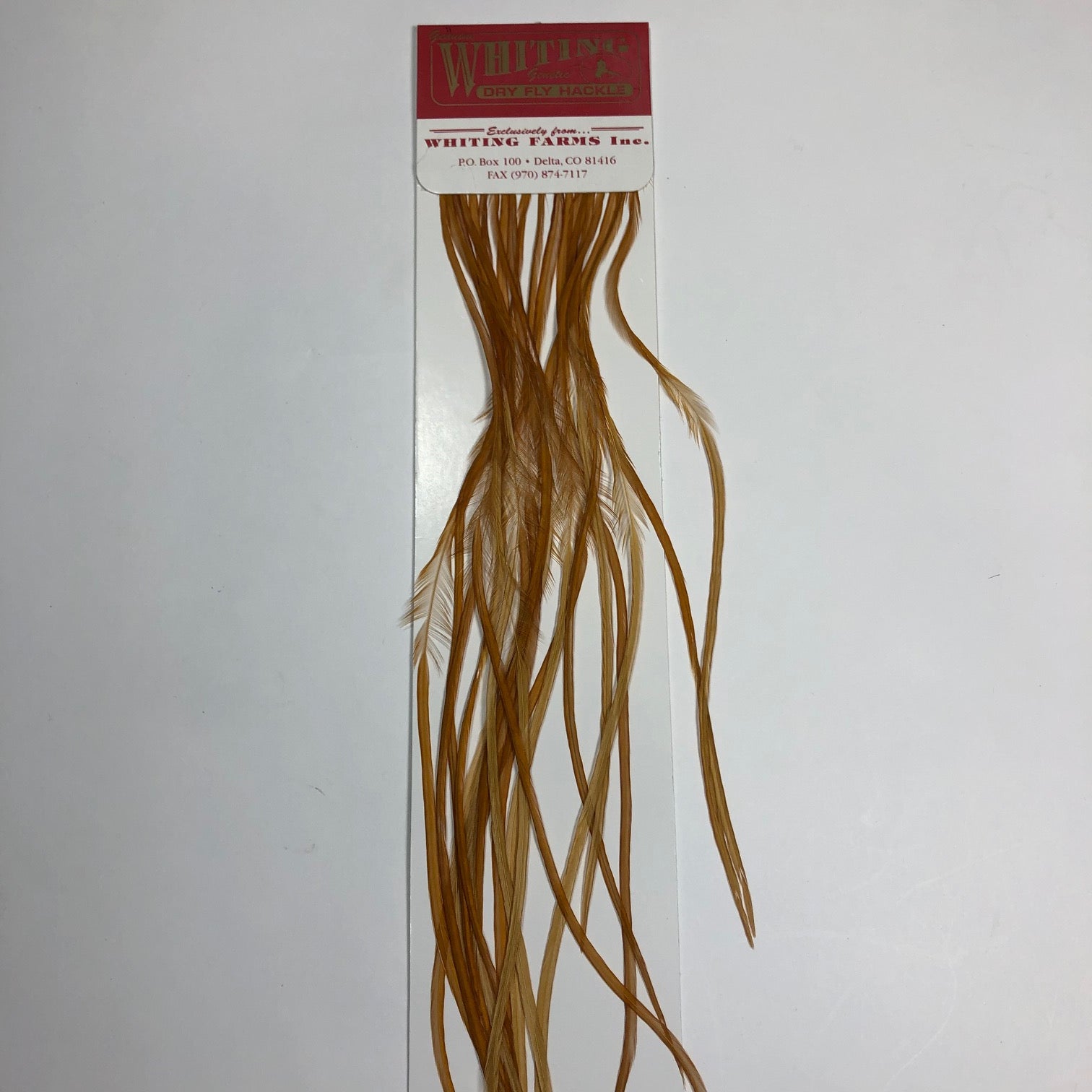 Whiting 100's Fly Pack