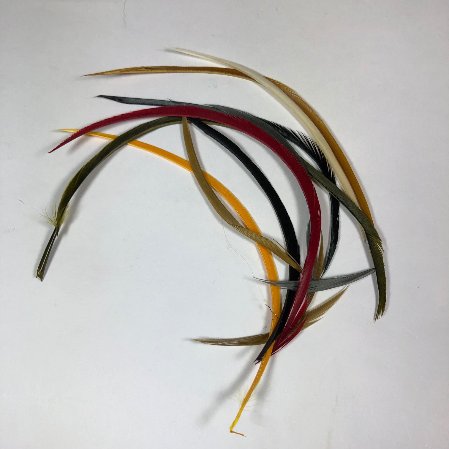 Stripped Goose Biot Combo Pack