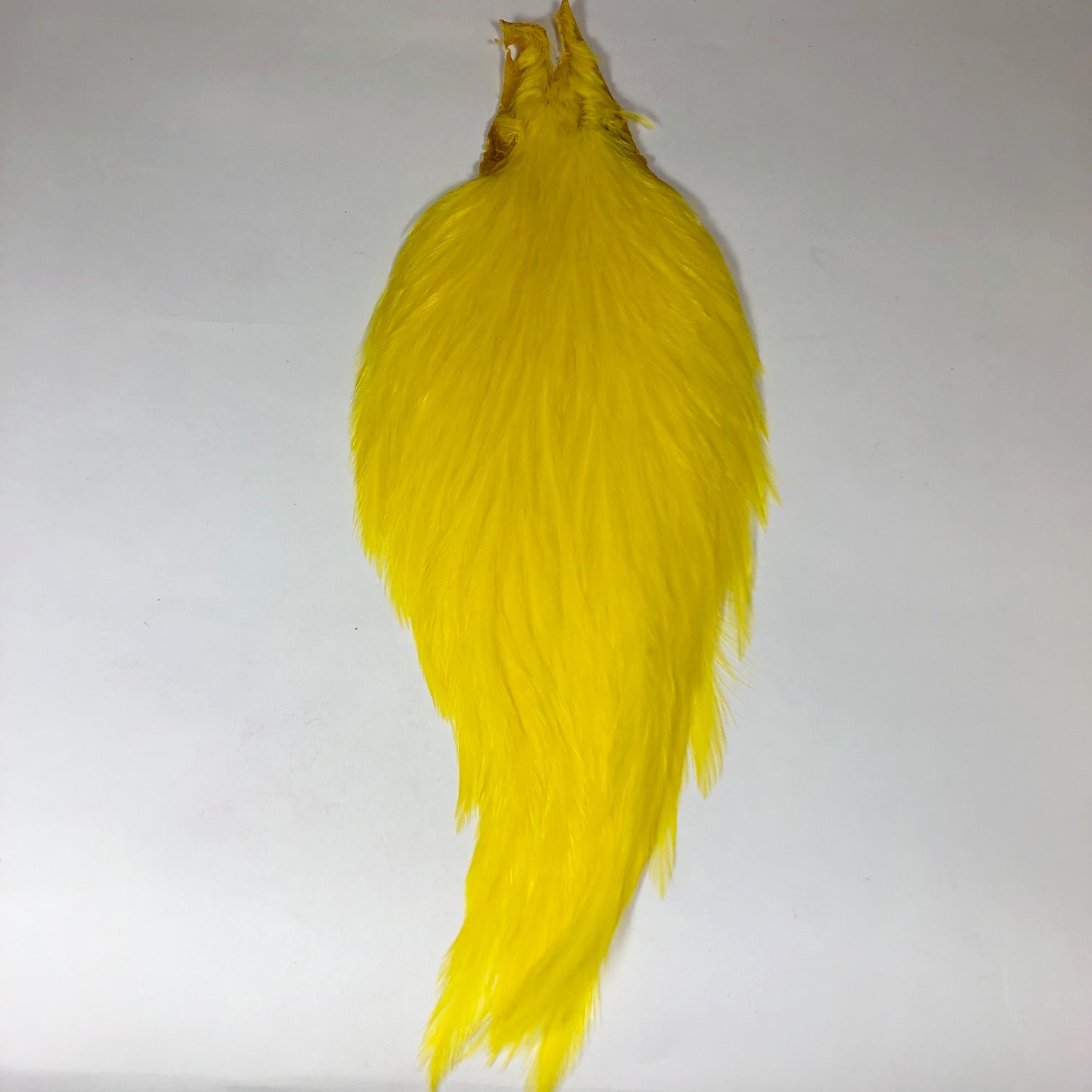 Saltwater Bass Capes