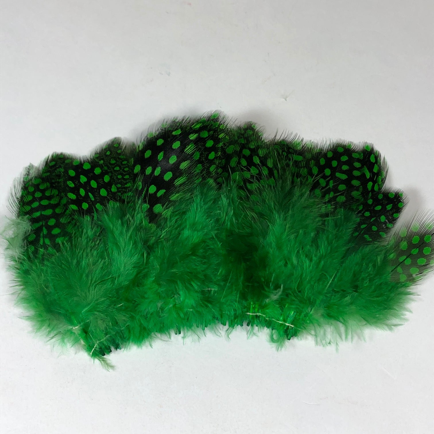 Strung Guinea Feathers