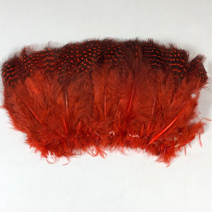 Strung Guinea Feathers