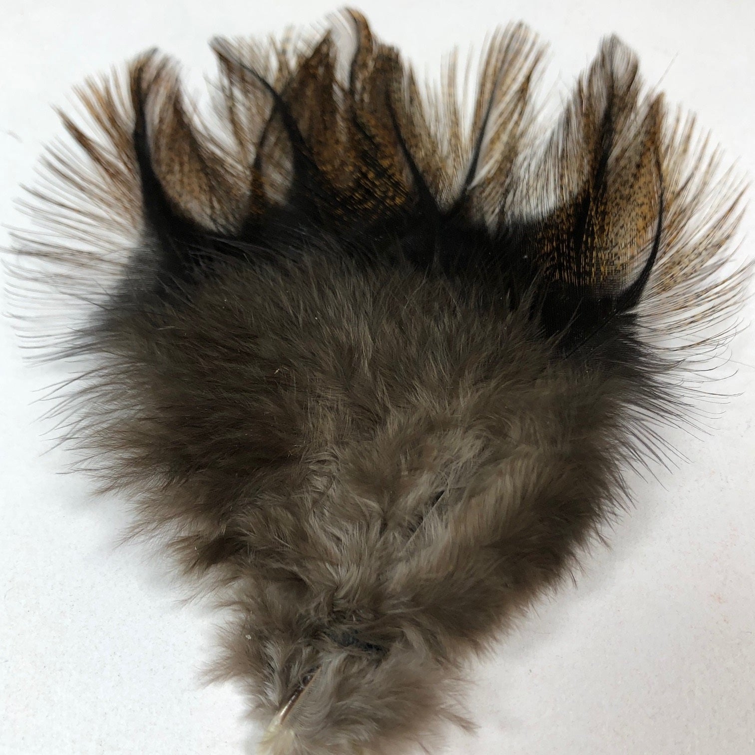 Pluma De Gallo De Leon - Dark Brown