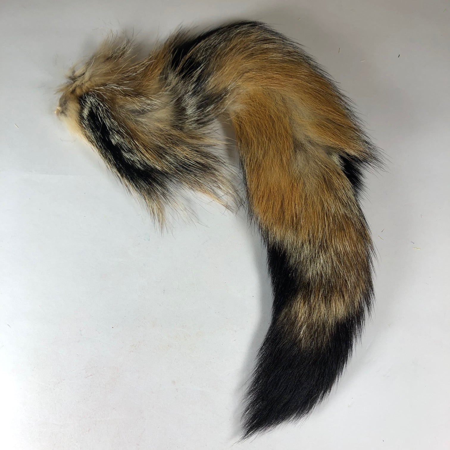Grey Fox Tail