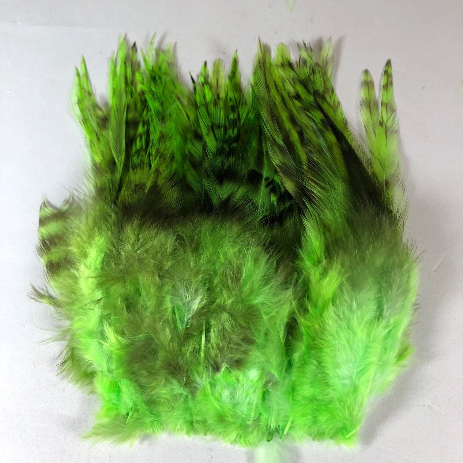 Strung Grizzly Variant Saddle Hackle - Chartreuse