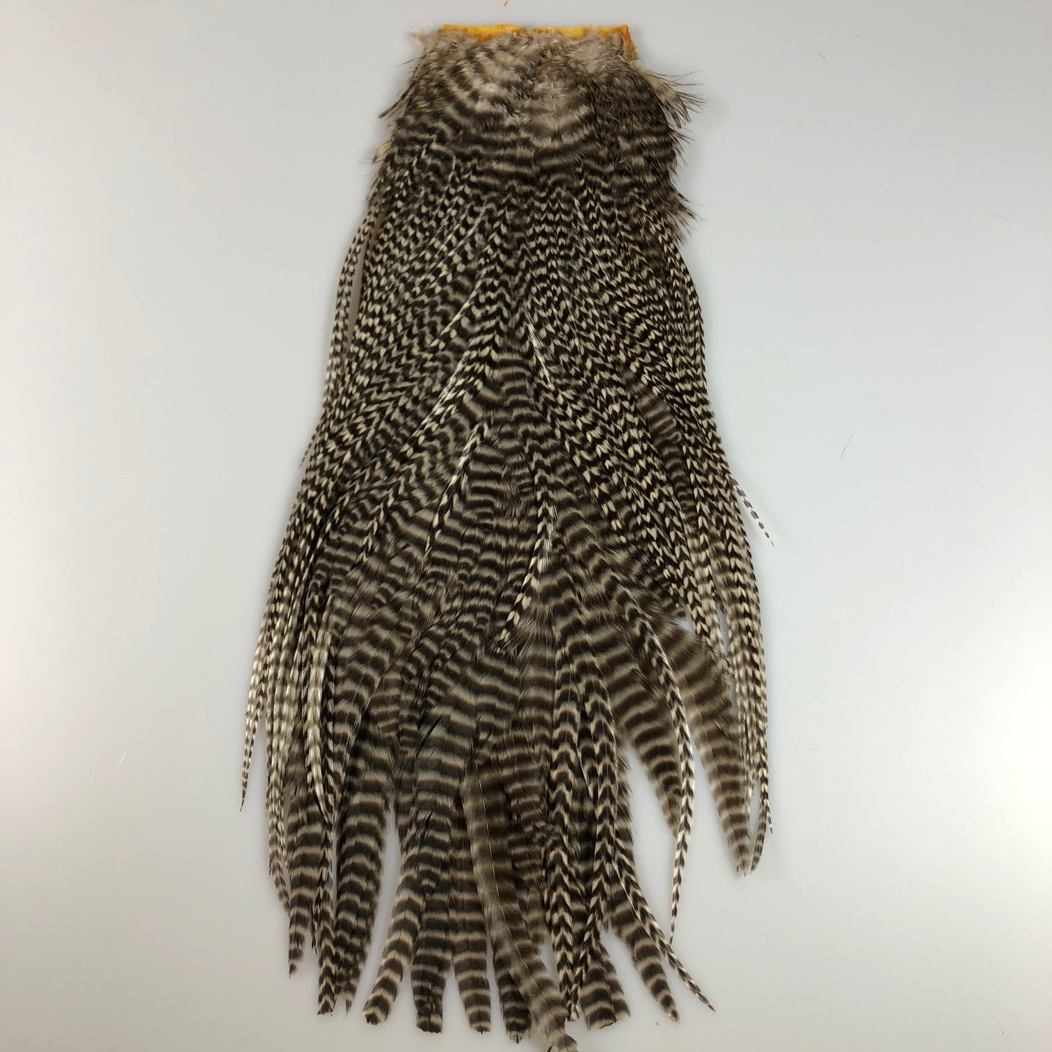 Economy Grizzly Saddle Patch - Older Stock