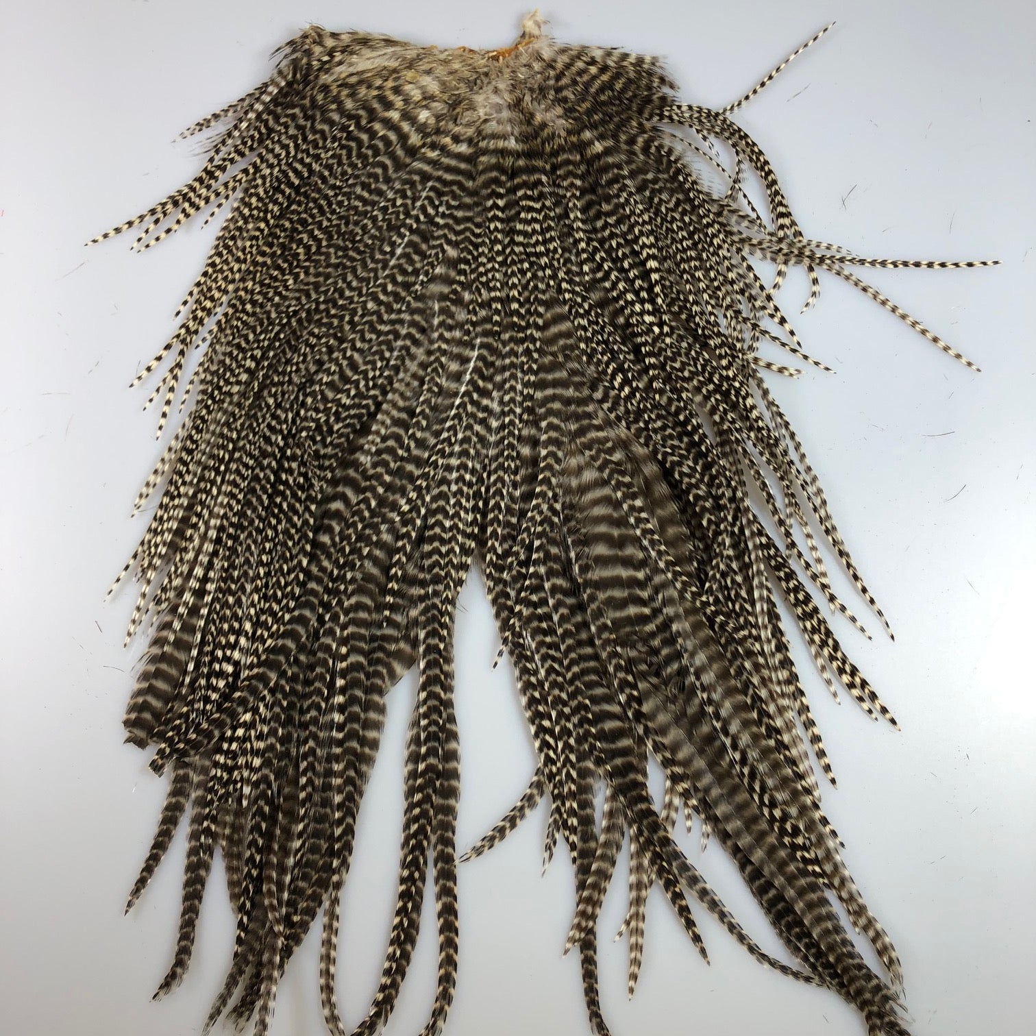 Grizzly Saddle Natural - Older Stock