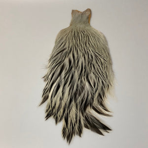American Badger Rooster Capes - Older Stock