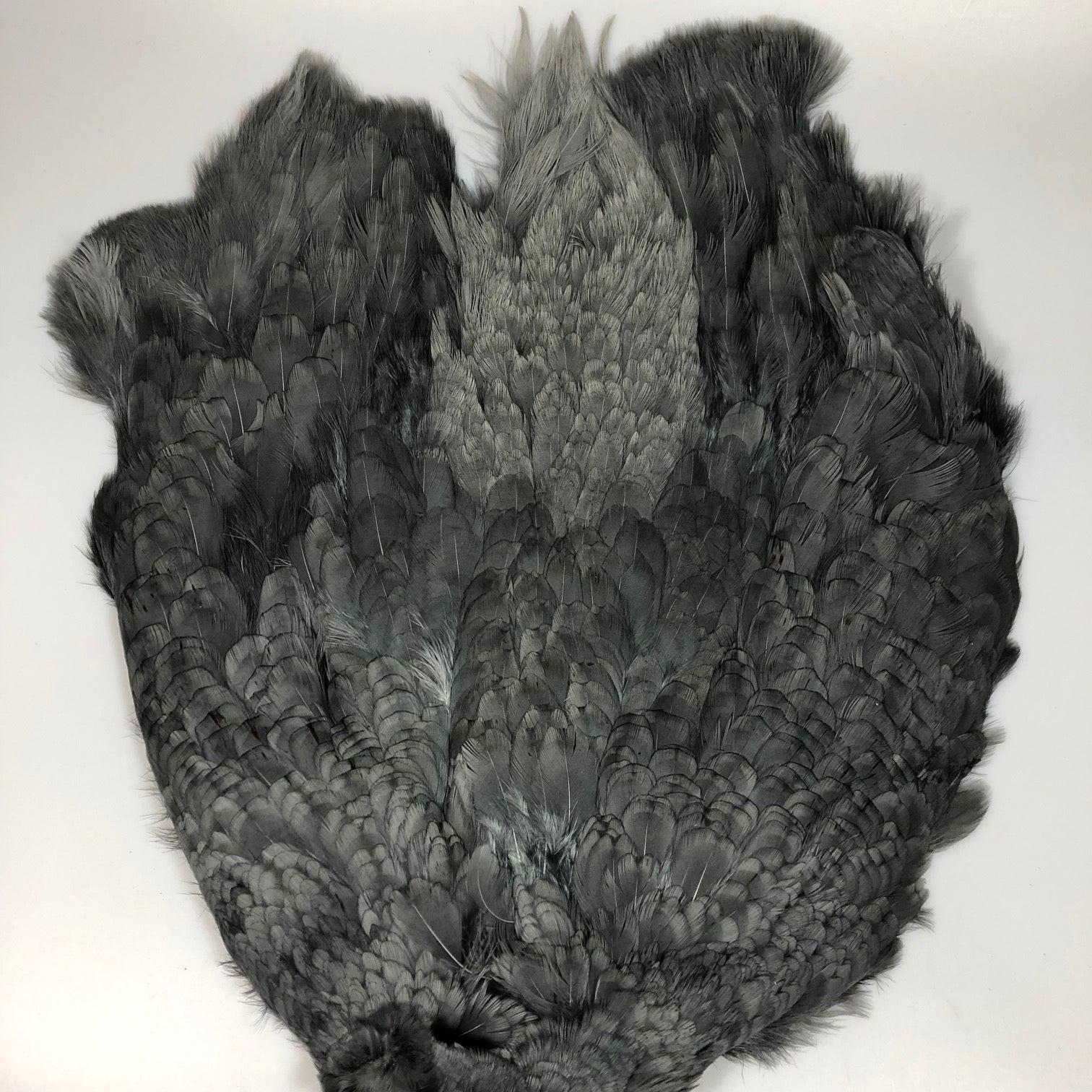 Hareline Dubbin White Cock Pheasant Skin Dyed Heron Gray