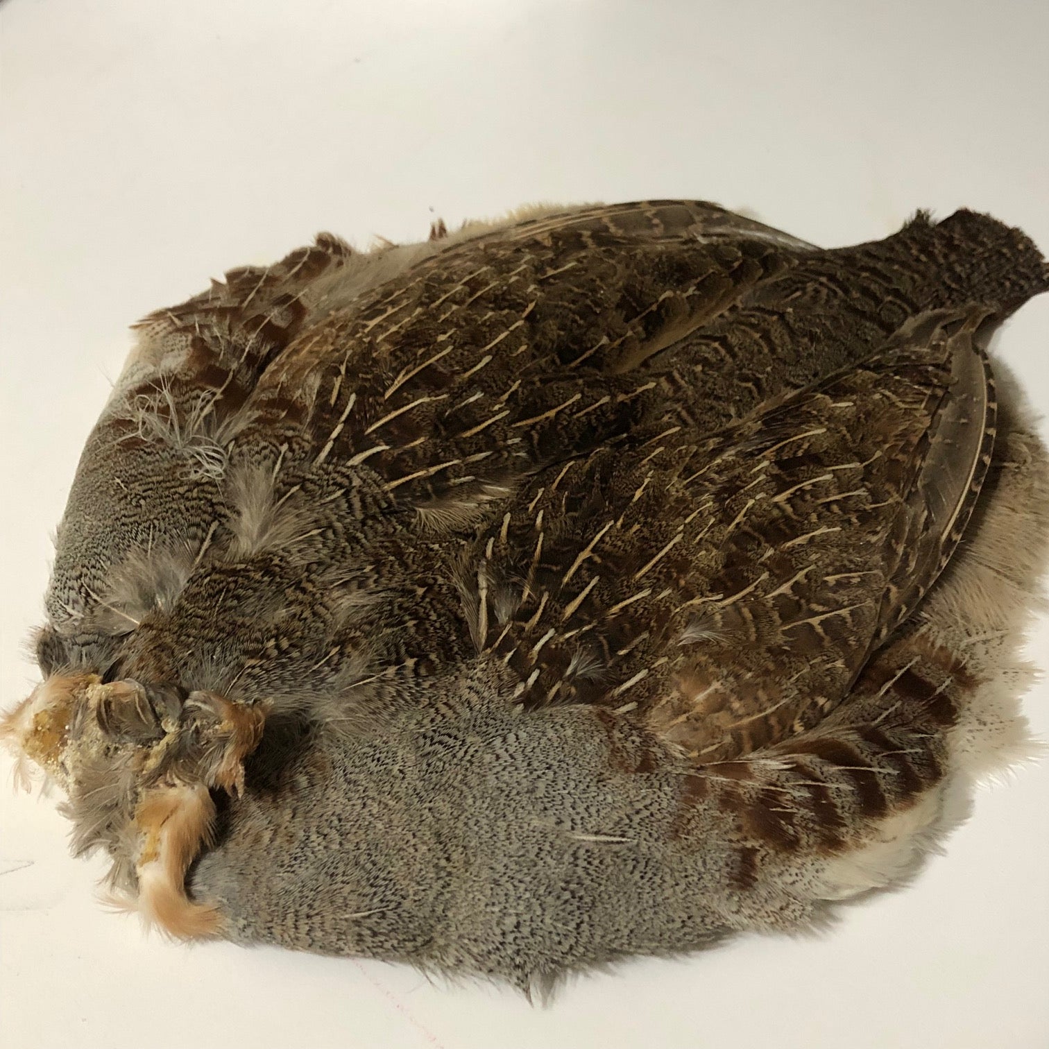 Hungarian Partridge Skin Natural - Grade #1