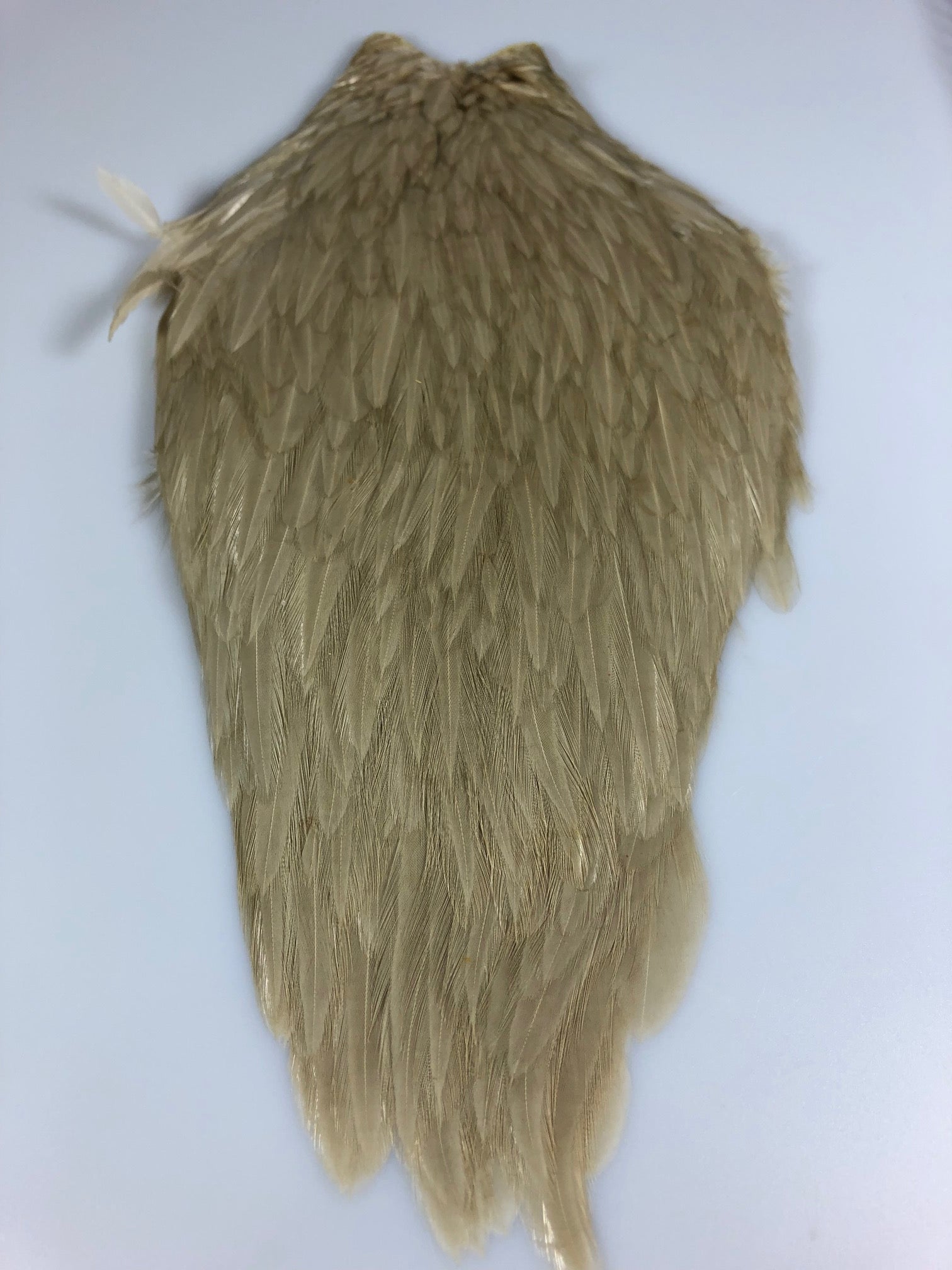 Whiting Hen Cape Feathers Fly Tying Material 