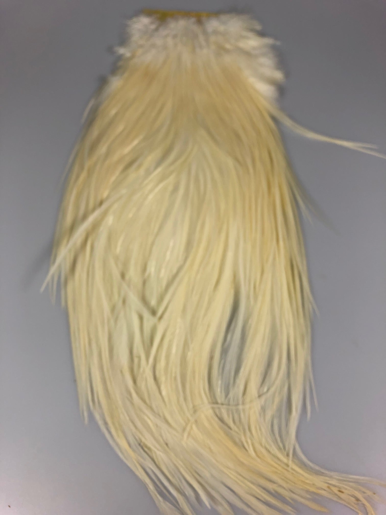 METZ #2 Saddle Hackle - Cream - Older Stock