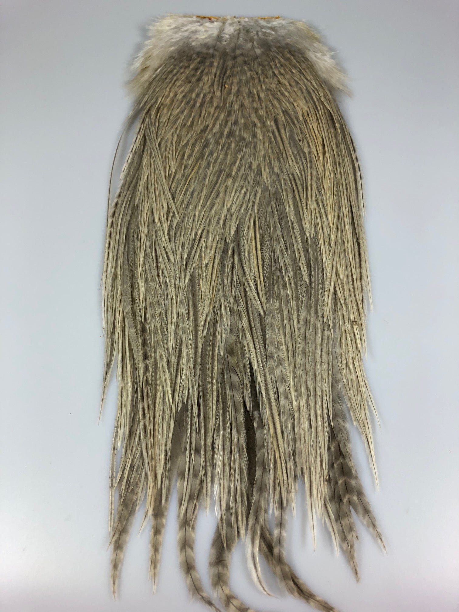 Metz Rooster Saddle - Barred Varient - Older Stock