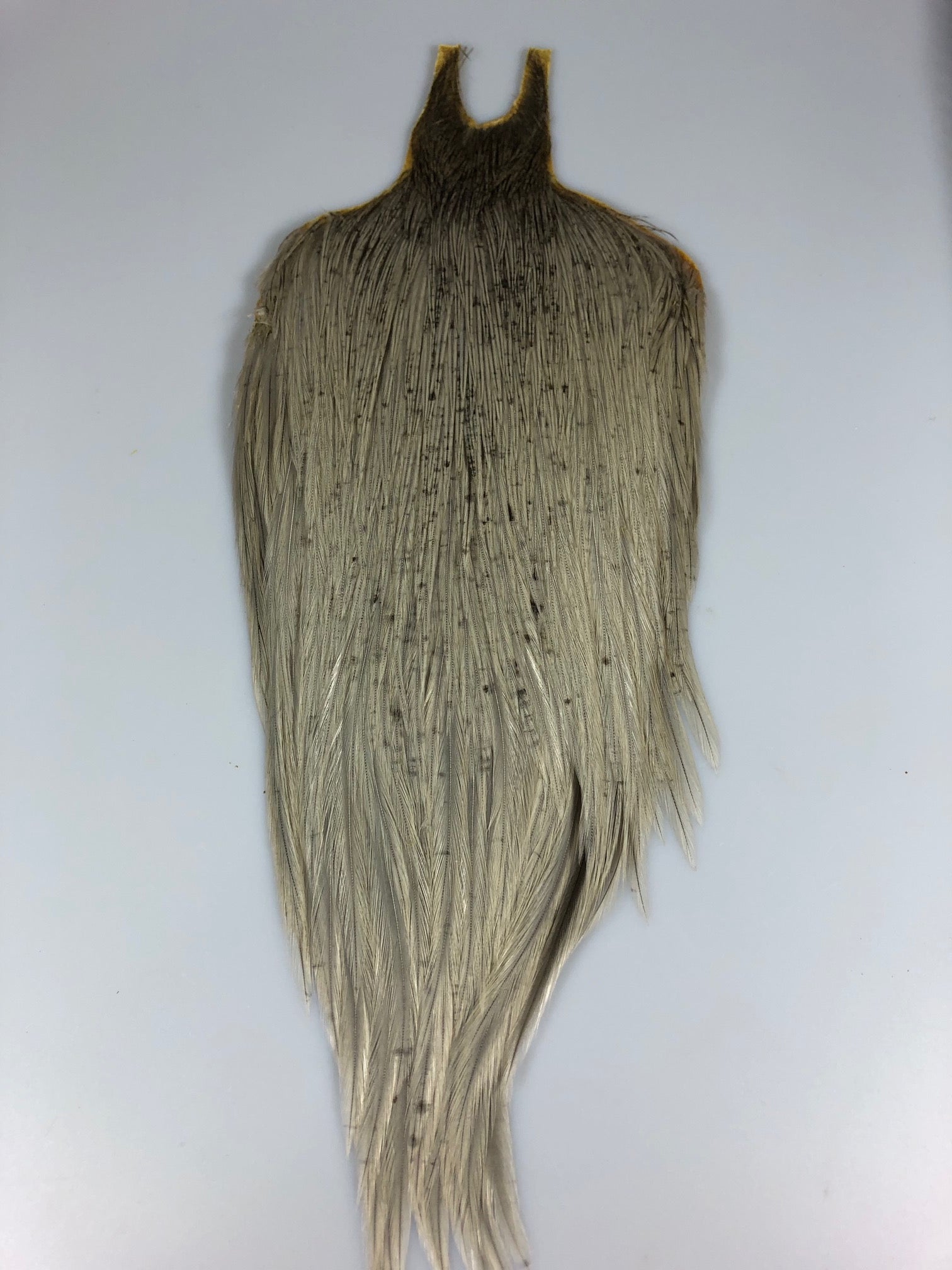 Metz Rooster Cape - Blue Dun - Older Stock