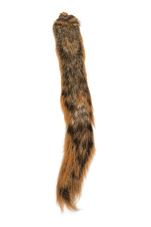 Hareline Dubbin Squirrel Tail