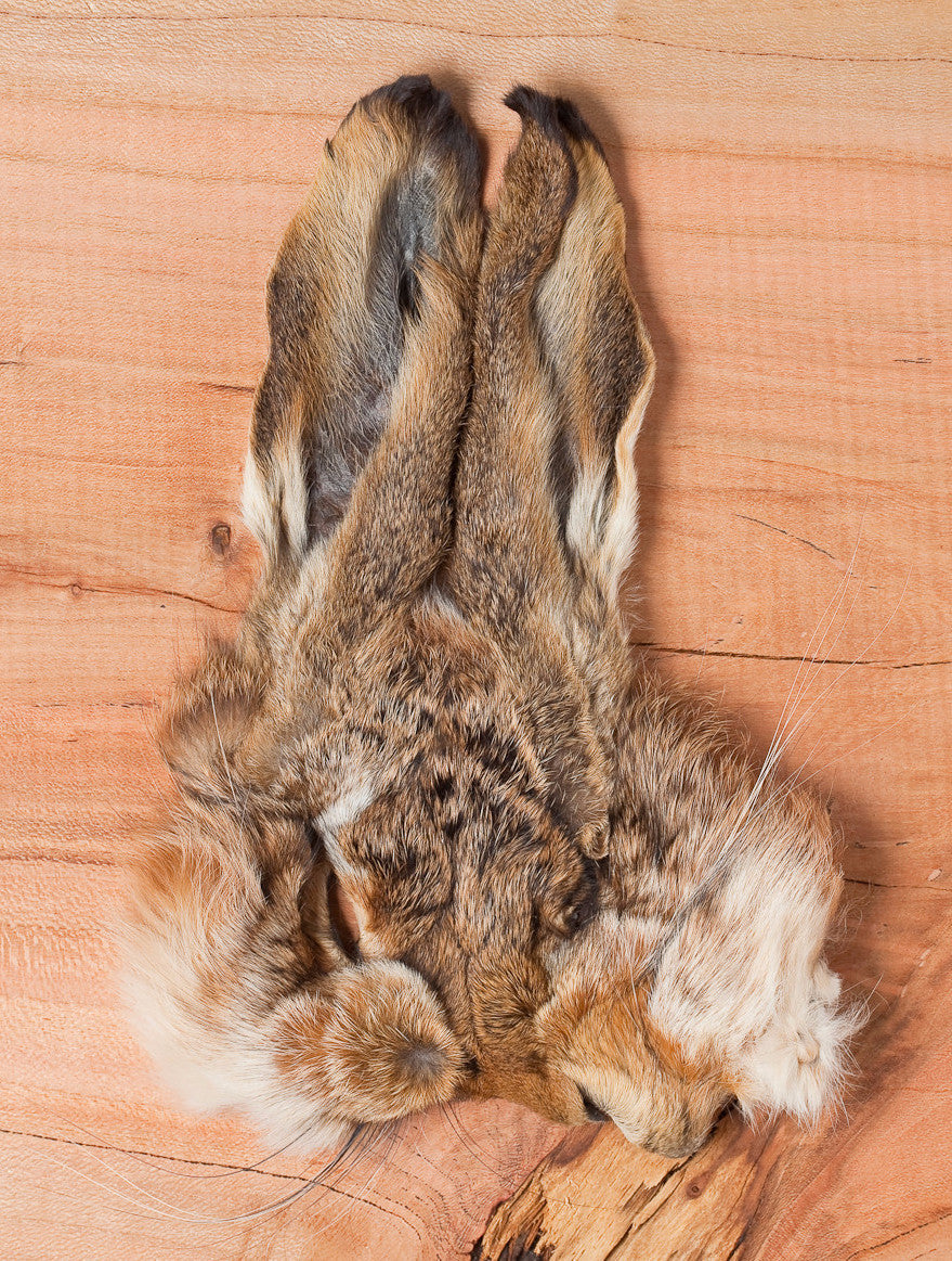 Hare's Mask Natural