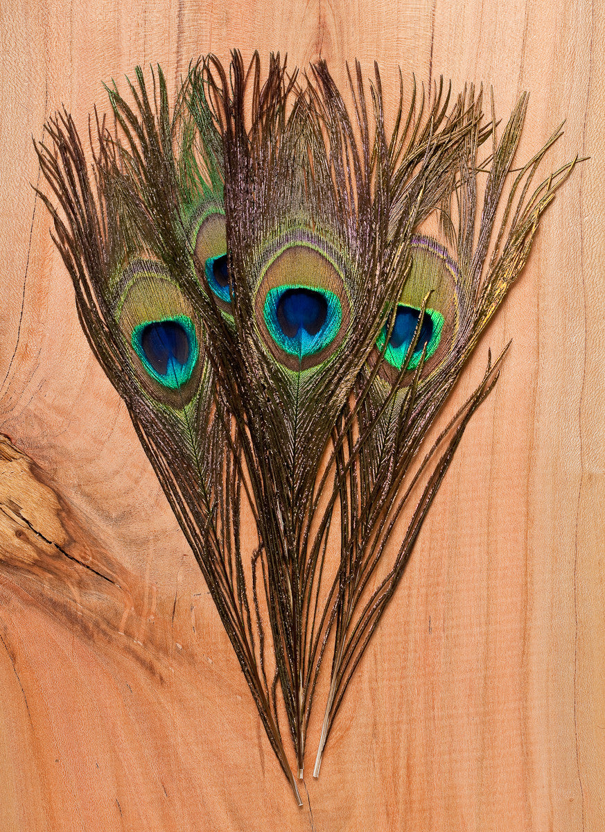 Hareline Dubbin Peacock Eyed Sticks - Wilkinson Fly Fishing LLC, image size:873x1200