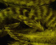 Hareline Grizzly Soft Hackle