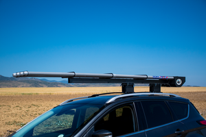 Peak Rod Transport System