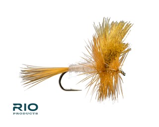 Rio Freshwater Fly - Cahill #14 Cream