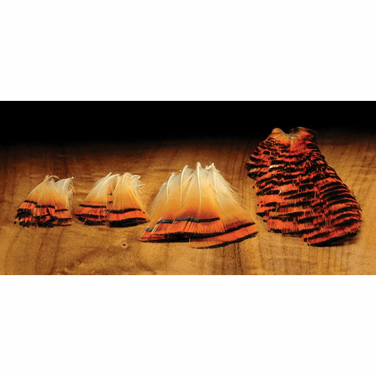 Golden Pheasant Tippets