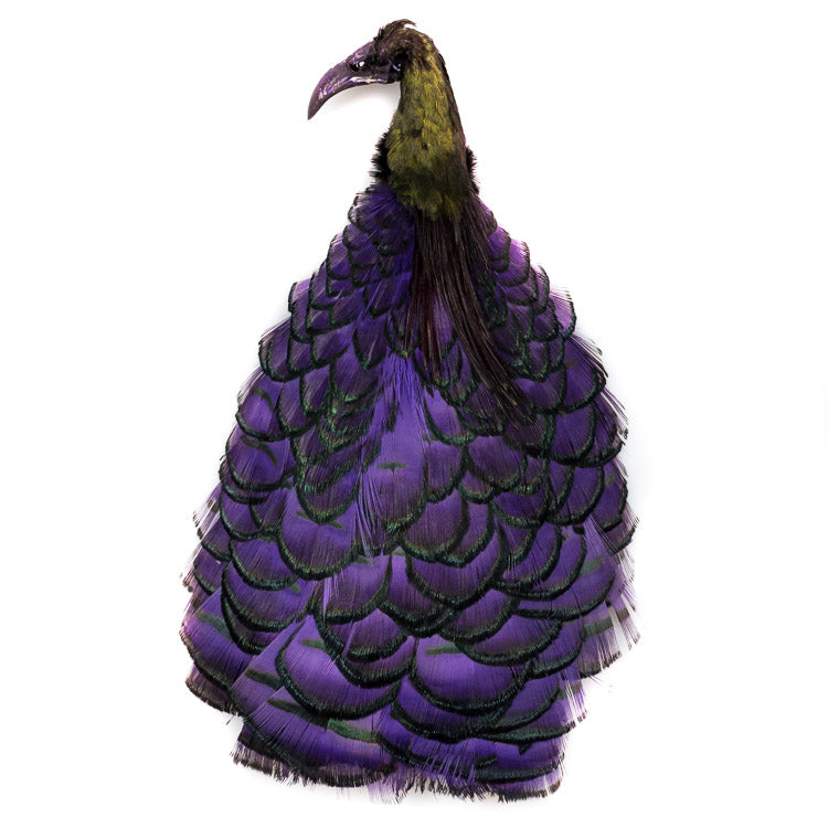 Lady Amherst Head - Purple